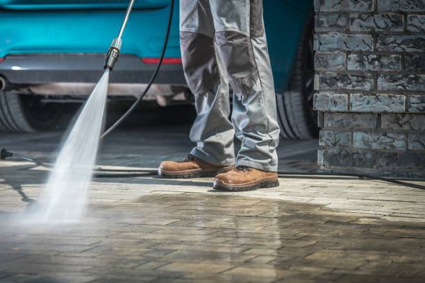 Best Roof Washing  in Shasta Lake, CA